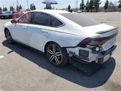 هوندا أكورد